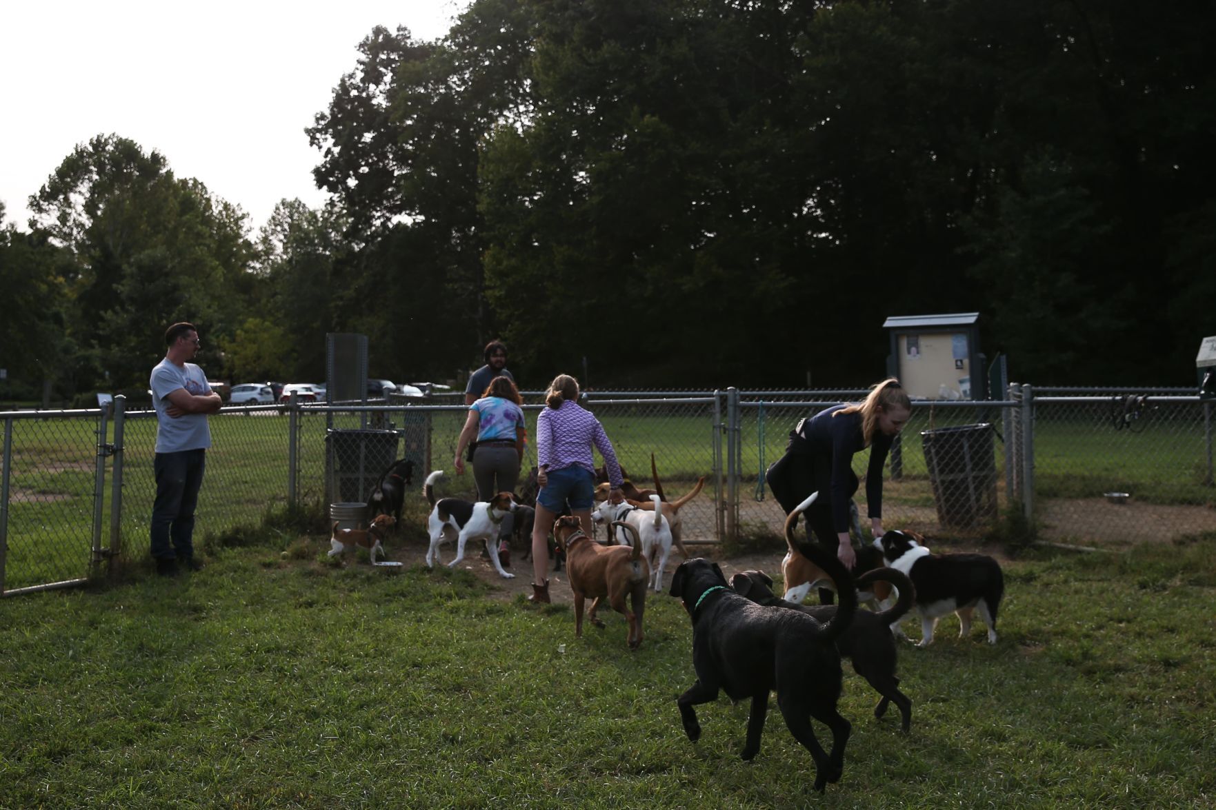 202009015_cdp_news_ dog park221.JPG